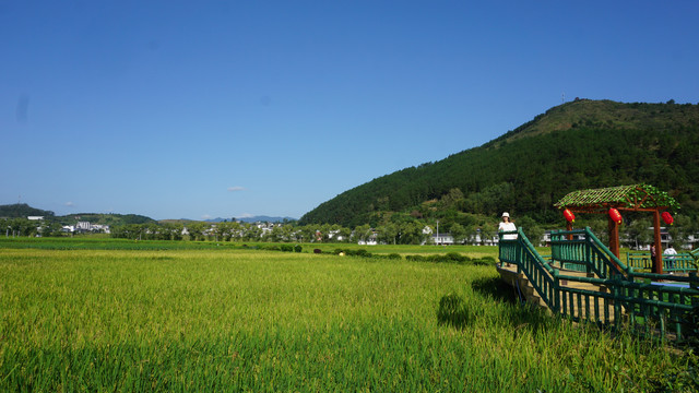 中峰贡米基地游人二