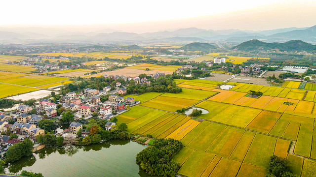 美丽乡村北湖草荡