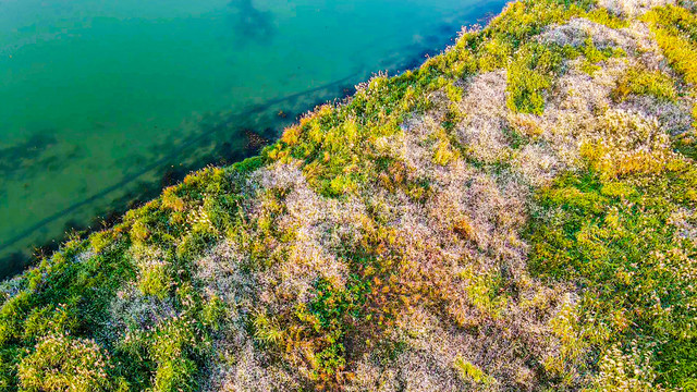 美丽乡村北湖草荡