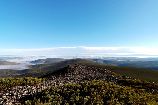 山山山