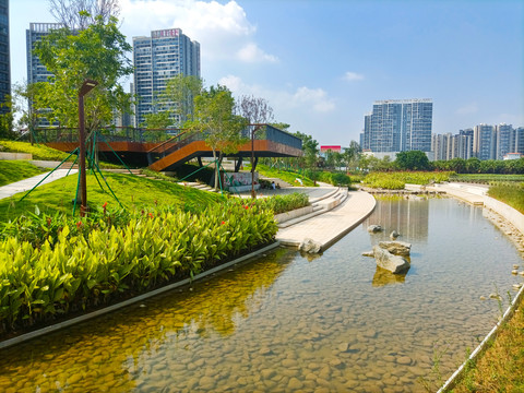 都市公园风景