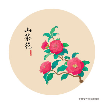 山茶花