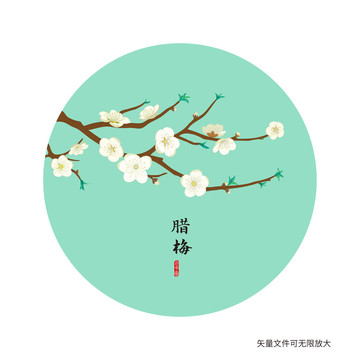 白臘梅