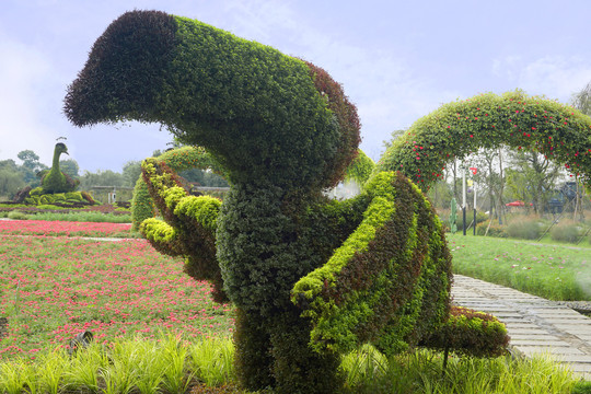 园艺艺术植物犀鸟雕塑