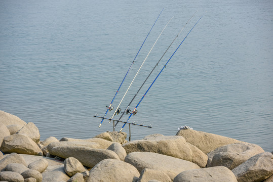 垂釣