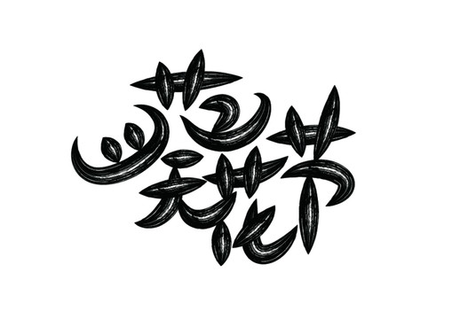 葵花節(jié)