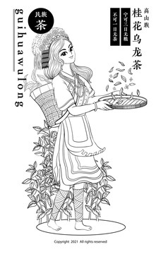 高山族女孩桂花乌龙茶包装插画