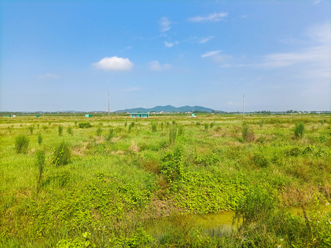 田野风景