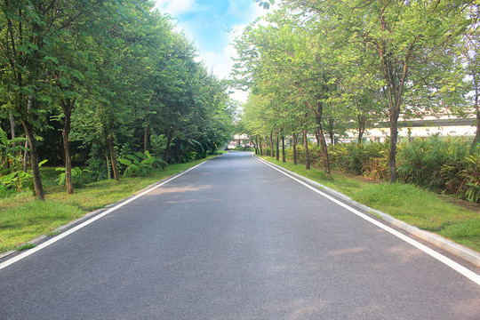 沥青道路