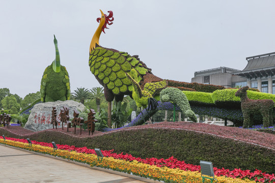 云南昆明国庆节植物造型立体花坛