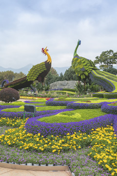 蓝天白云立体花坛城市景观