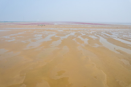 东营垦利红滩湿地滨海公园