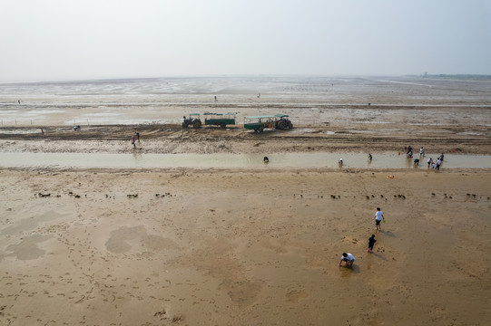 东营垦利红滩湿地滨海公园