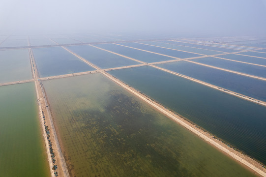 东营垦利红滩湿地滨海公园