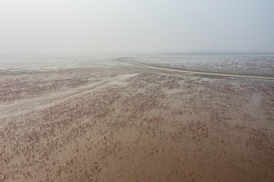 航拍东营垦利红滩湿地碧海公园