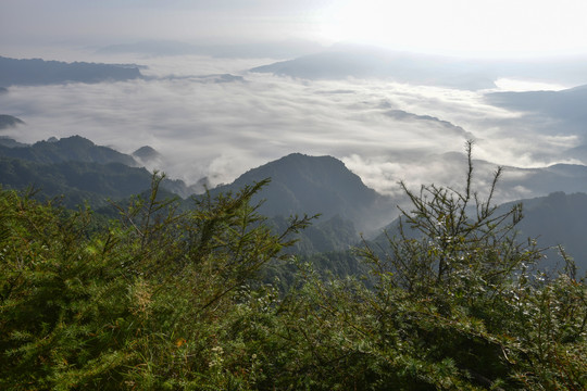 高山云海