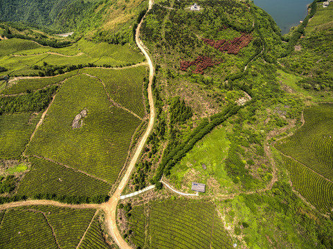 东阳东白山航拍