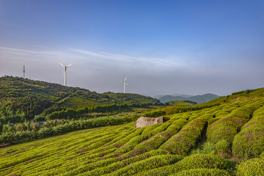 浙江东阳东白山梯田