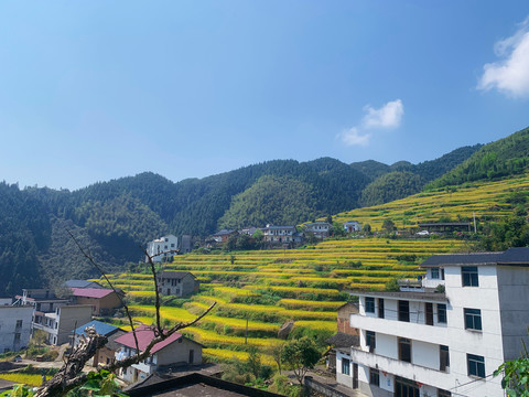 浙江风景高山梯田