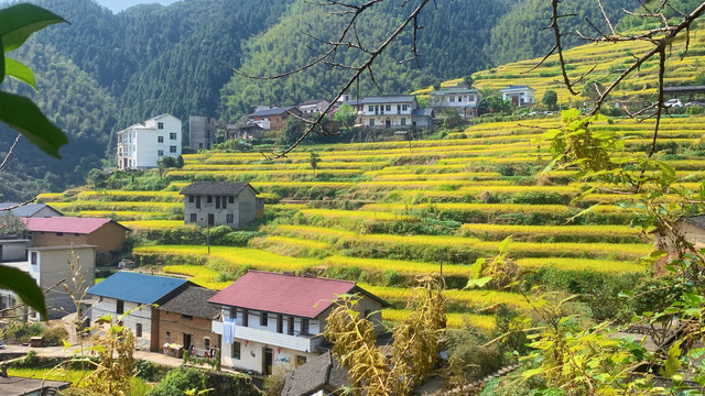 浙江风景高山梯田