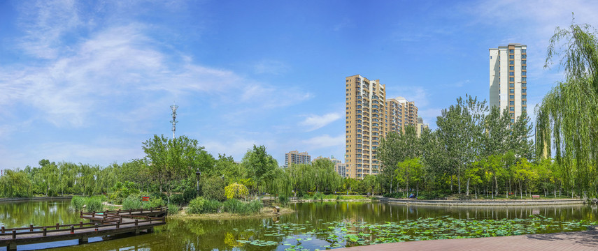天津城市绿化全景宽幅