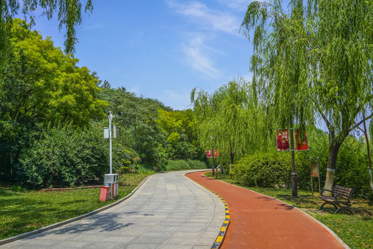 公园健身步道高清大图