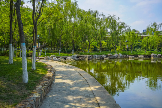 湖边观景步道