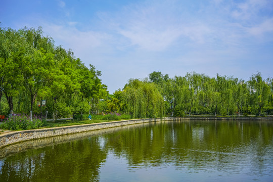 天津河岸景观