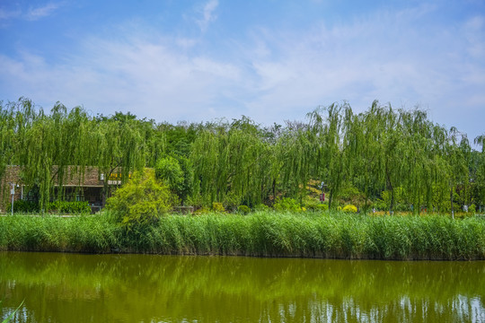 天津河岸景观
