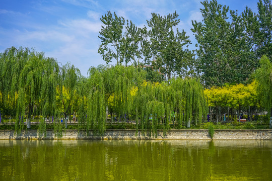 天津河岸景观