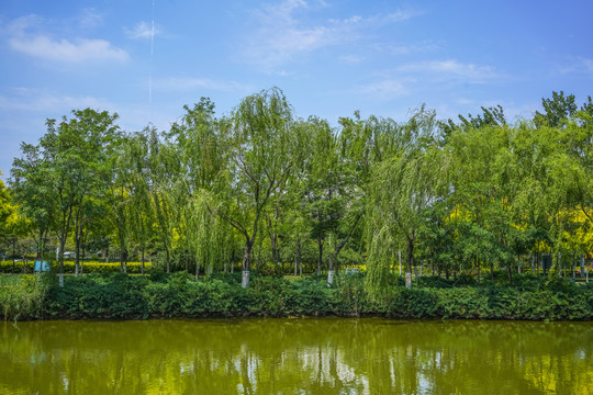 天津河岸景观