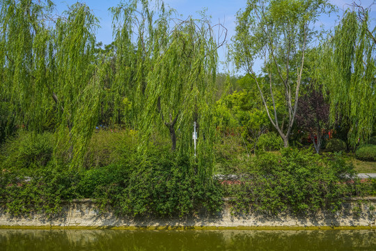 天津河道景观