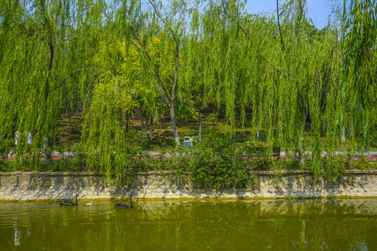 天津河道景观