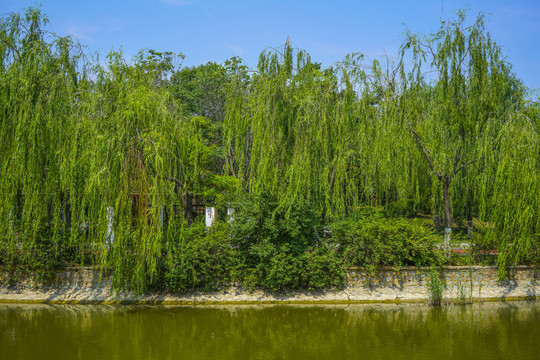 天津河道景观
