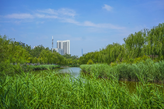 天津河道景观