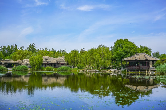 天津宁园池塘景观