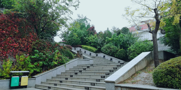 雨天公园