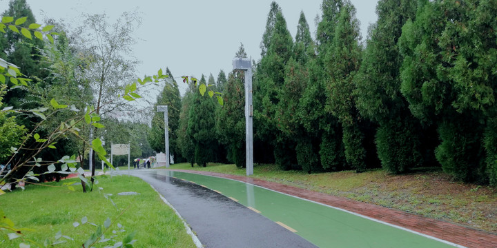 雨天公园步道