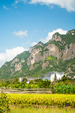 楠溪江山村