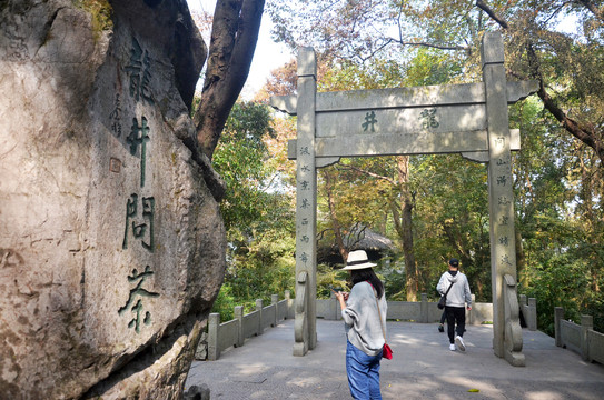 龙井问茶