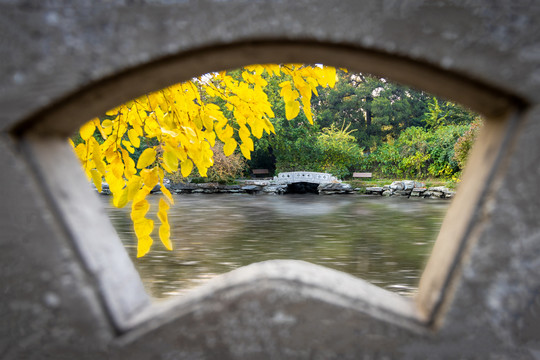 镂空桥栏中的北京大学小桥池塘