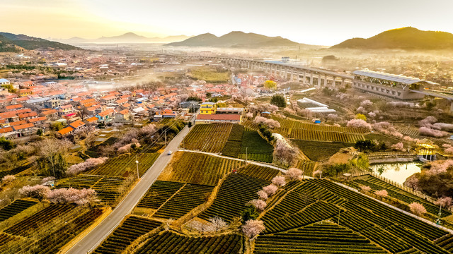 崂山庙石村风光