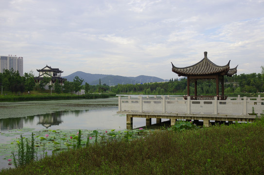 滁州北湖公园初夏