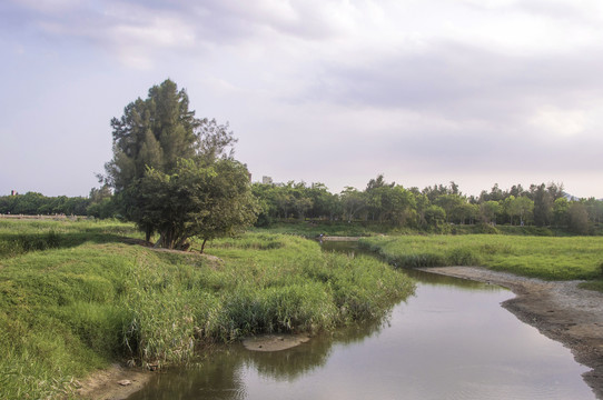 湿地自然风情