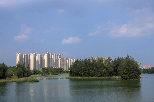 安海风景