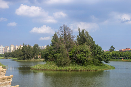 湿地绿岛