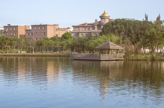 乡村公园风景