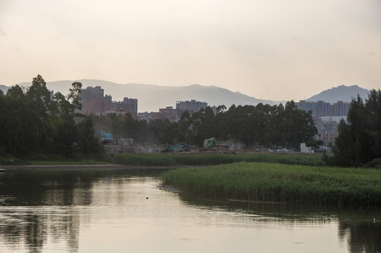 南安五里桥湿地暮色风景