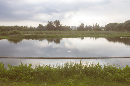 五里桥文化公园湿地景观