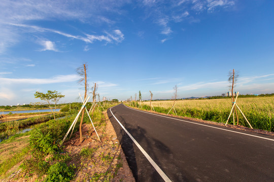 茅尾海红树林自然保护区海上公路